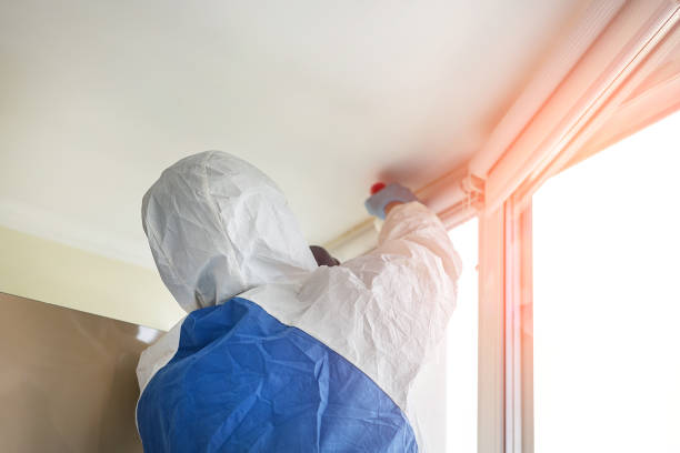 Best Biohazard Mold Removal in USA